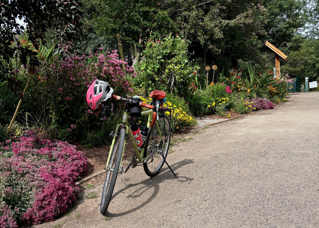 The Wandering Woman's Manifesto: 5 Simple Ways to Bring Adventure to Your Everyday